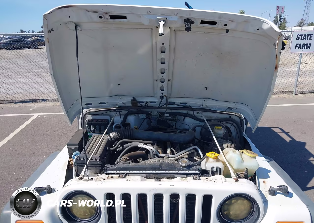 2006 Jeep Wrangler Sport VIN:1J4FA49S36P738954 - 10