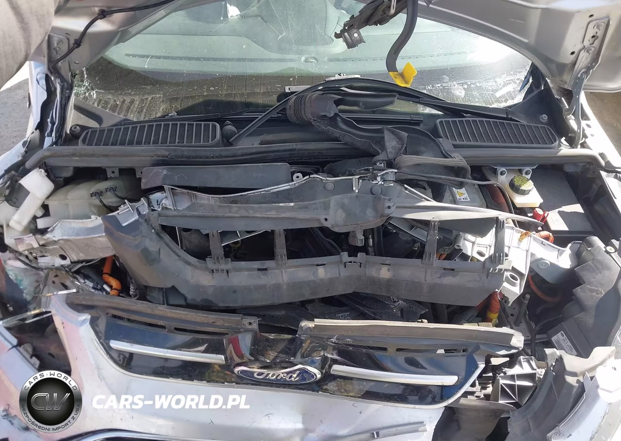 2015 Ford C-Max Energi Sel VIN:1FADP5CU5FL109320 - 10