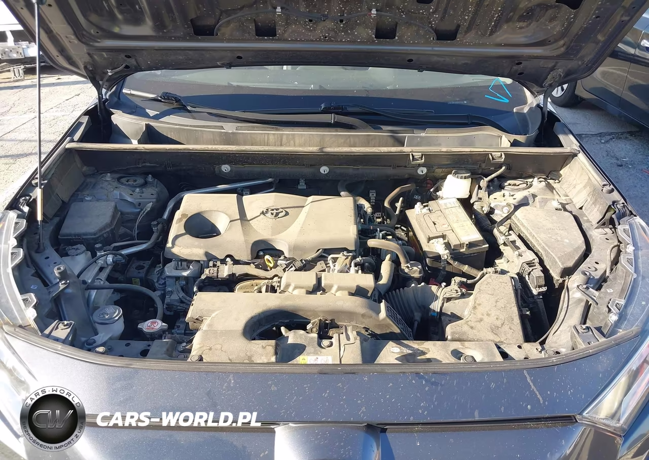 2019 Toyota Rav4 Xle Premium VIN:JTMC1RFV3KD002094 - 10