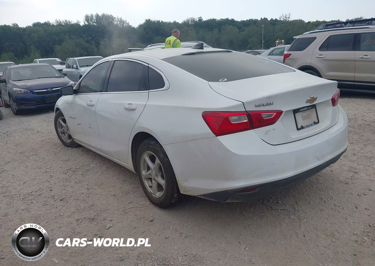2017 Chevrolet Malibu 1Fl VIN:1G1ZC5ST0HF224700 - 3