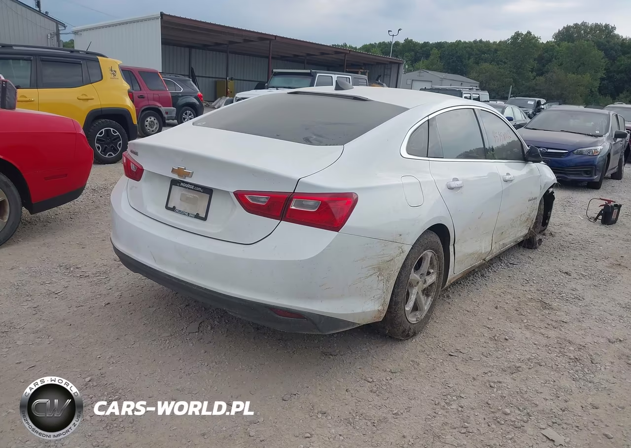 2017 Chevrolet Malibu 1Fl VIN:1G1ZC5ST0HF224700 - 4