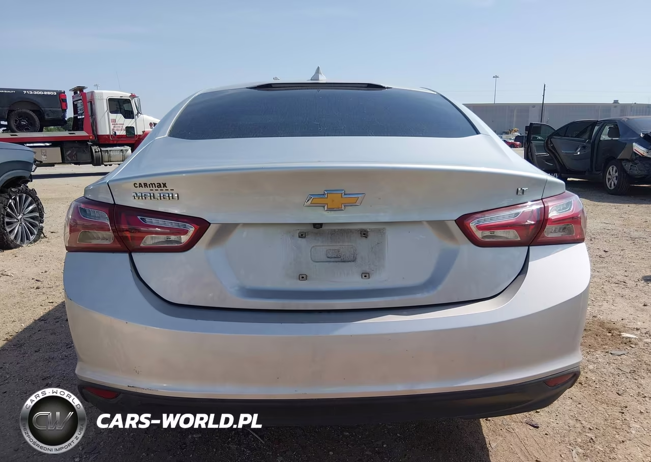 2019 Chevrolet Malibu Lt VIN:1G1ZD5ST2KF161751 - 16