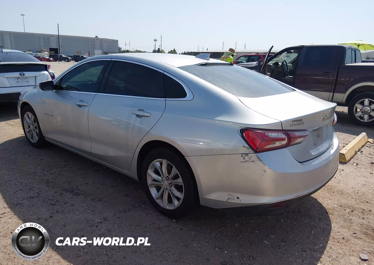 2019 Chevrolet Malibu Lt VIN:1G1ZD5ST2KF161751 - 3
