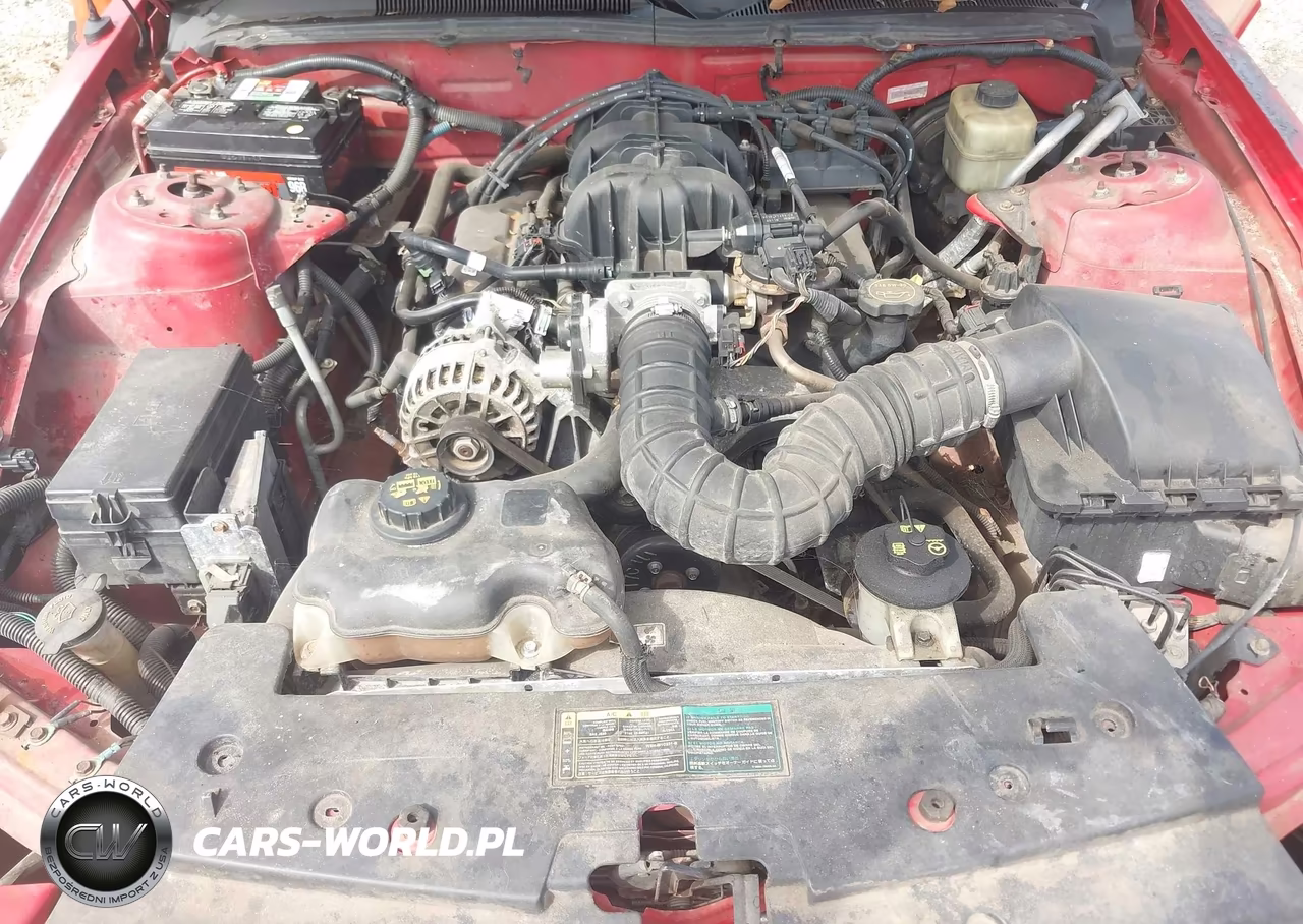 2006 Ford Mustang V6 VIN:1ZVHT84N965228585 - 10
