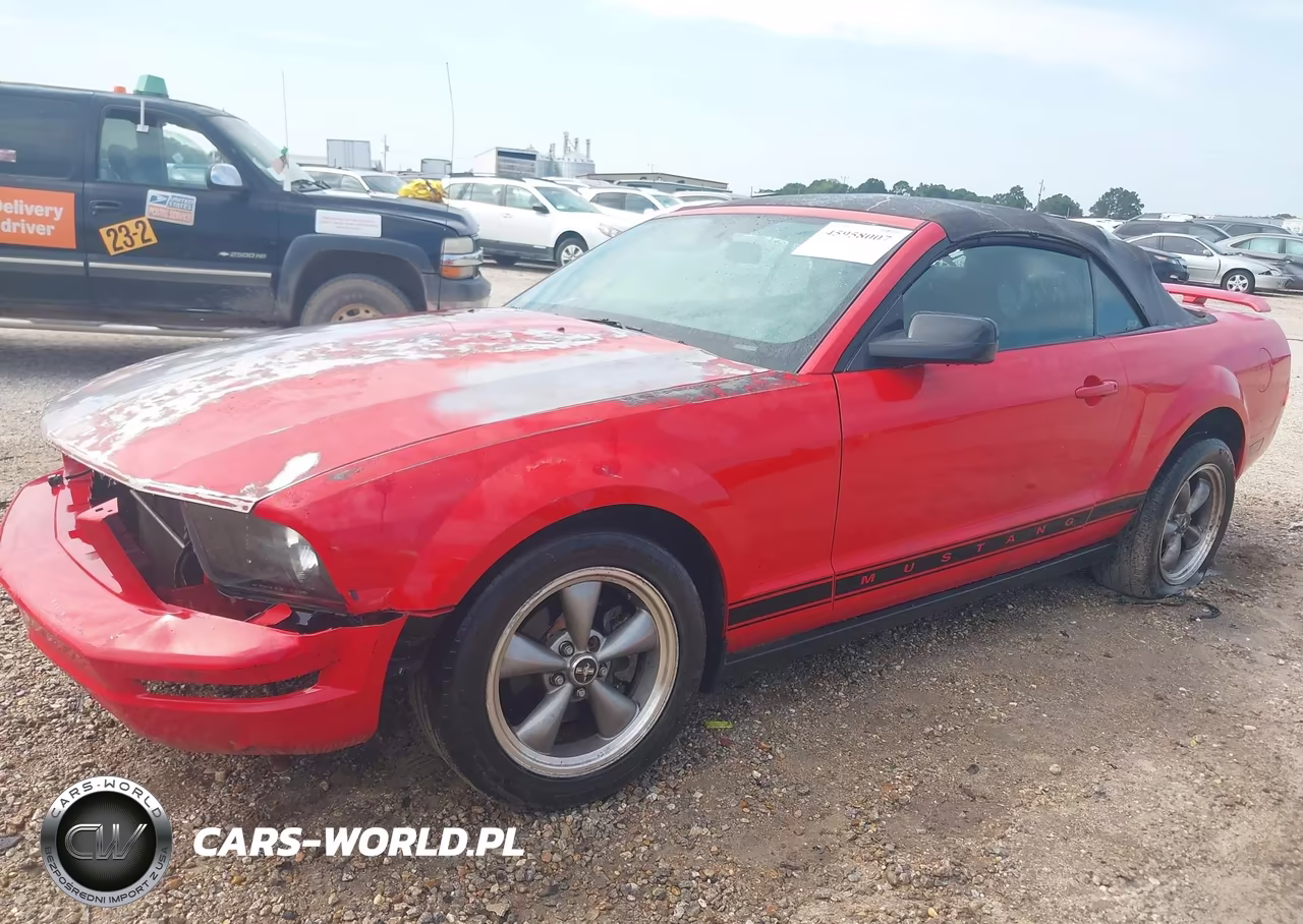 2006 Ford Mustang V6 VIN:1ZVHT84N965228585 - 2