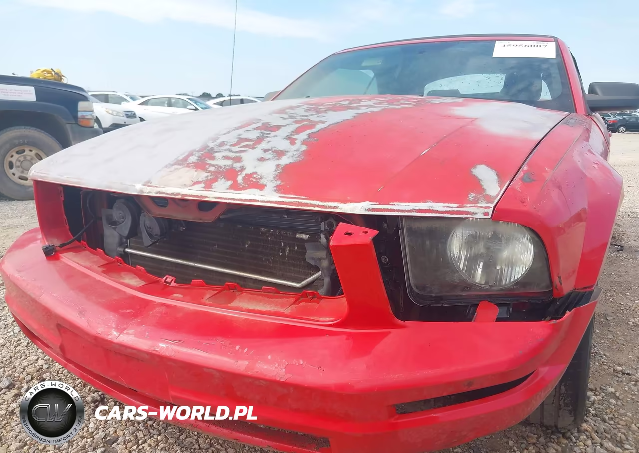 2006 Ford Mustang V6 VIN:1ZVHT84N965228585 - 6