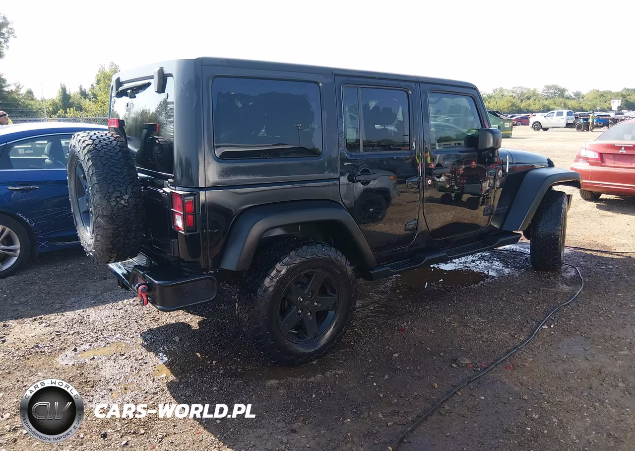 2017 Jeep Wrangler Unlimited Big Bear 4X4 VIN:1C4BJWDG9HL690471 - 4
