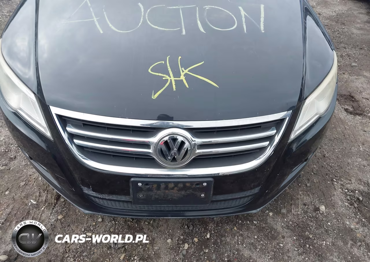 2010 Volkswagen Tiguan Wolfsburg Edition VIN:WVGAV7AX6AW524225 - 10