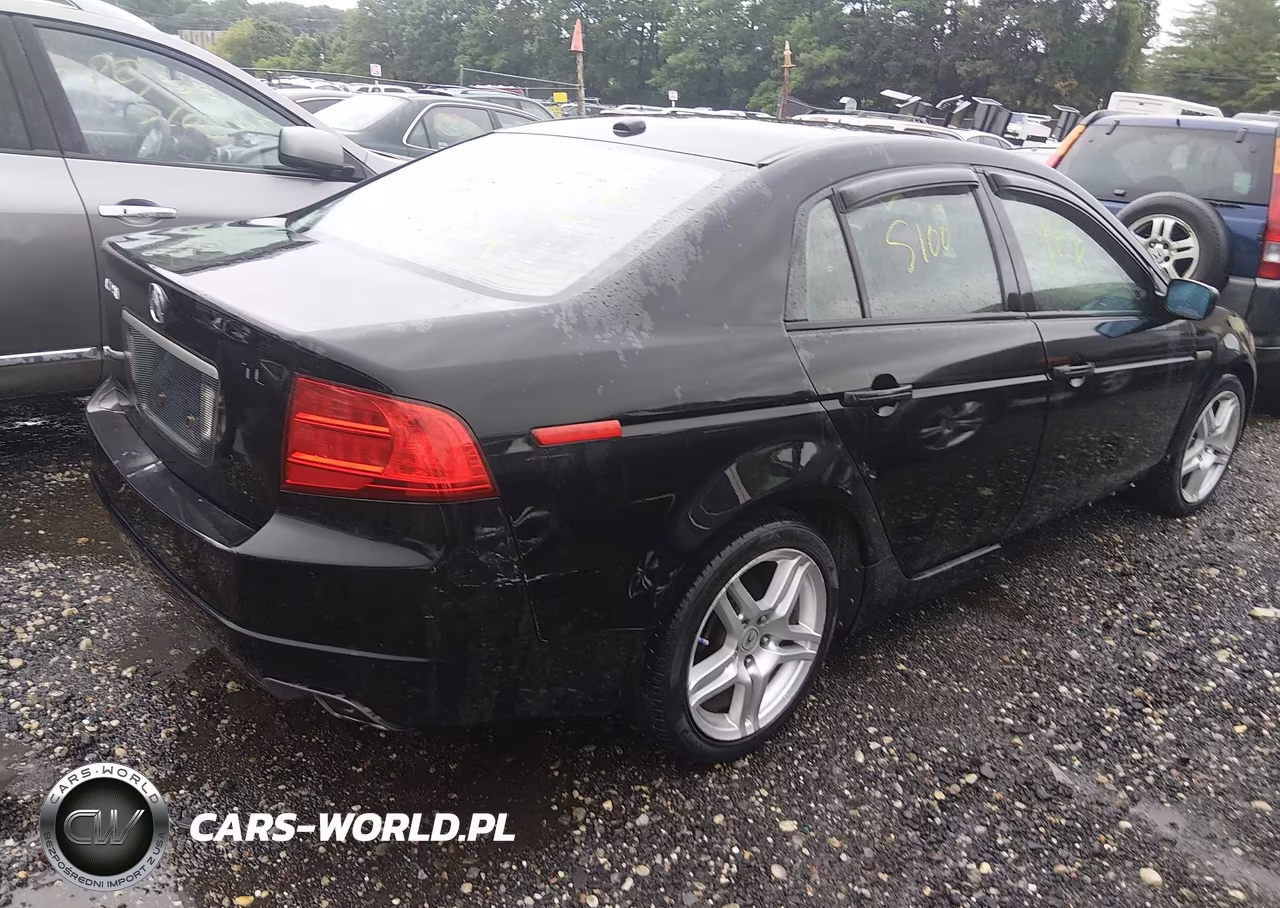 2004 Acura Tl VIN:19UUA66244A029433 - 4