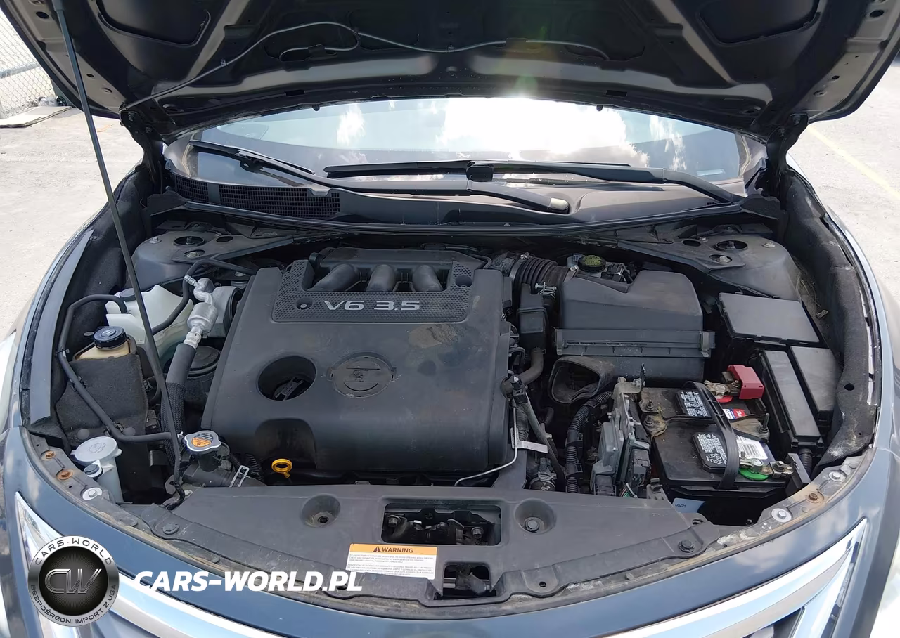 2013 Nissan Altima 3.5 Sl VIN:1N4BL3AP3DC203987 - 10