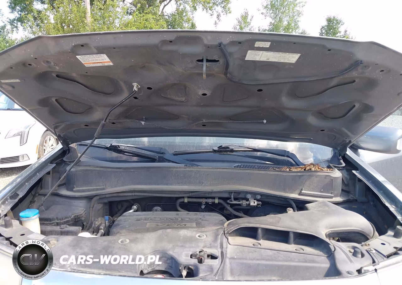 2009 Honda Pilot Touring VIN:5FNYF48989B014917 - 10