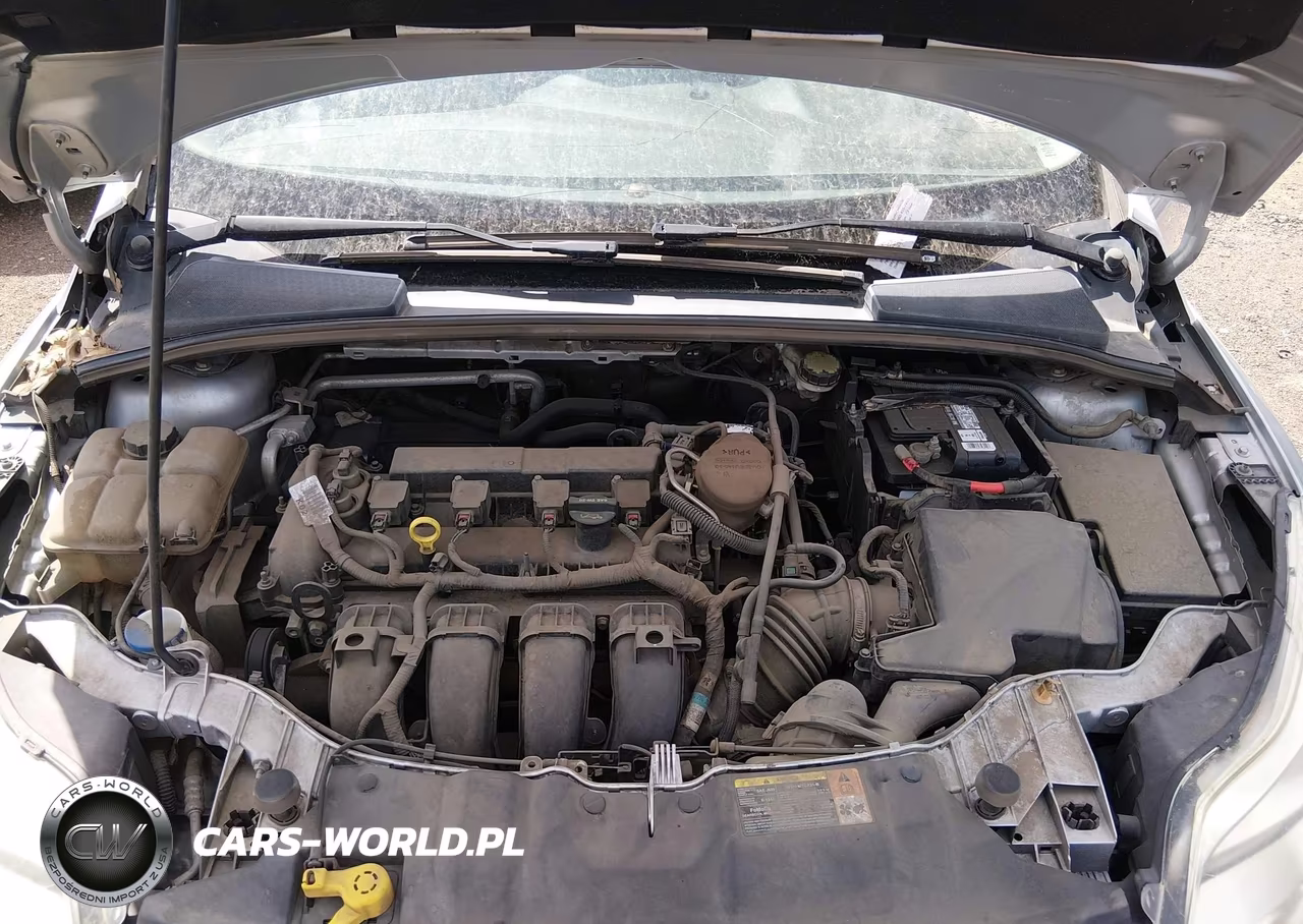 2014 Ford Focus Se VIN:1FADP3K23EL170751 - 10