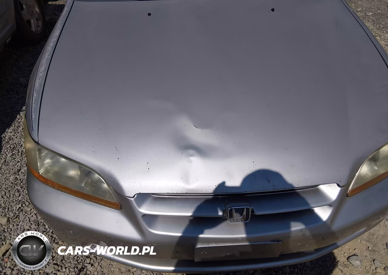 1998 Honda Accord Lx VIN:1HGCG5643WA156618 - 12