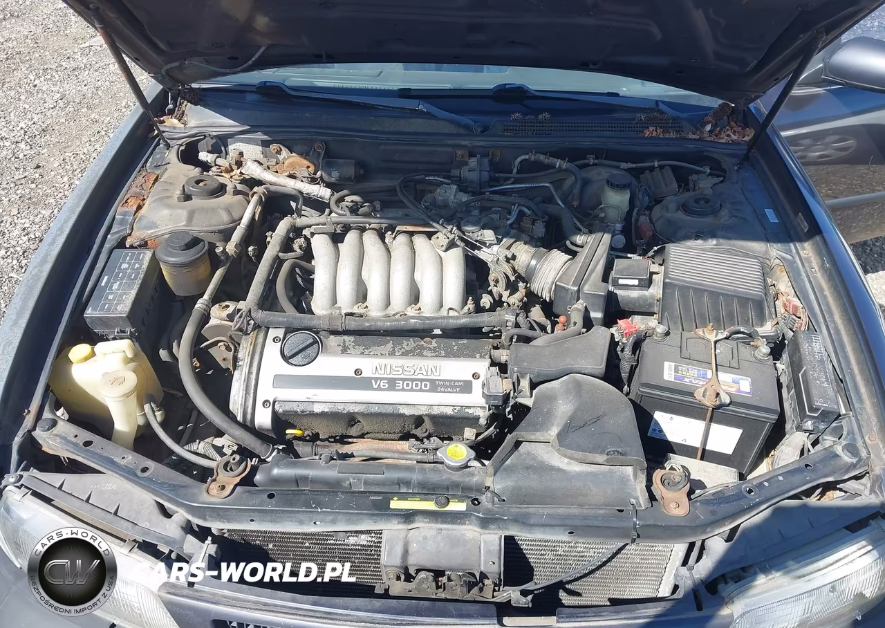 1996 Nissan Maxima Gle-Gxe-Se VIN:JN1CA21D4TT709320 - 10