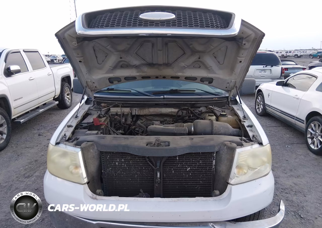2007 Ford F-150 Xlt VIN:1FTRW12W07FA09687 - 10