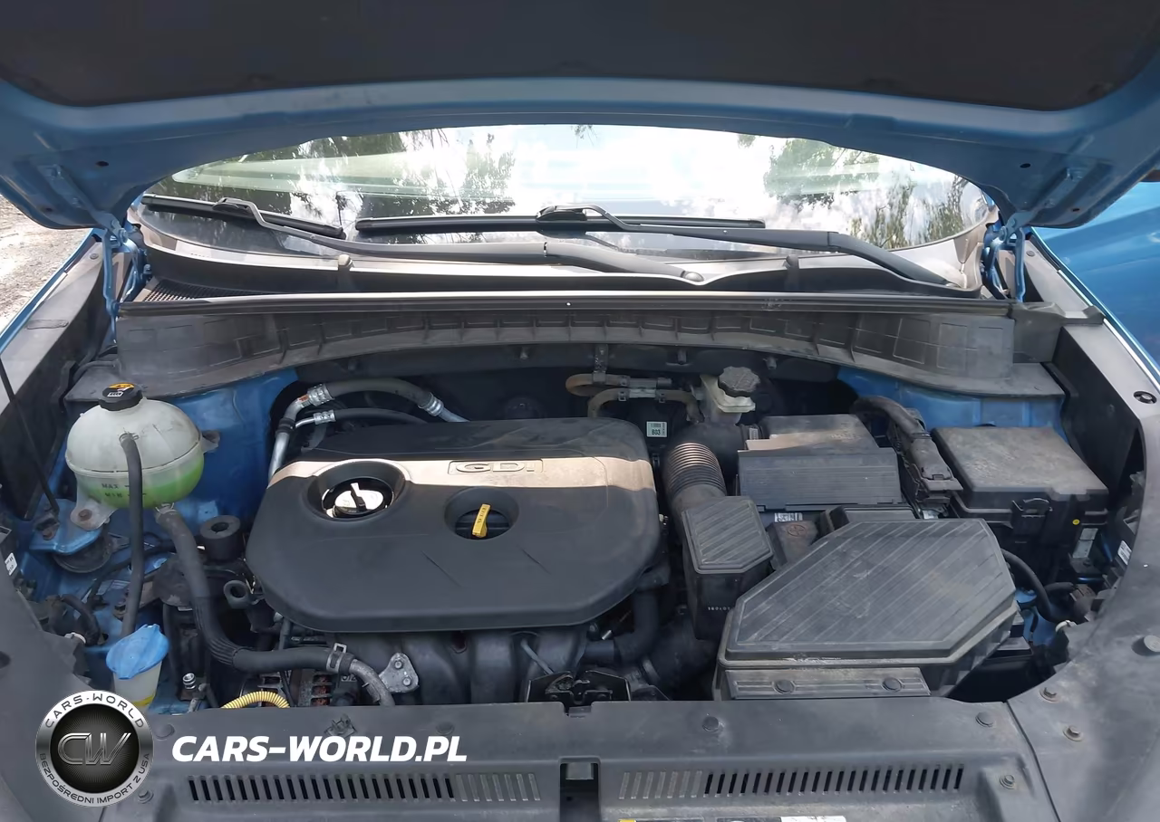 2016 Hyundai Tucson Se VIN:KM8J23A47GU226407 - 10