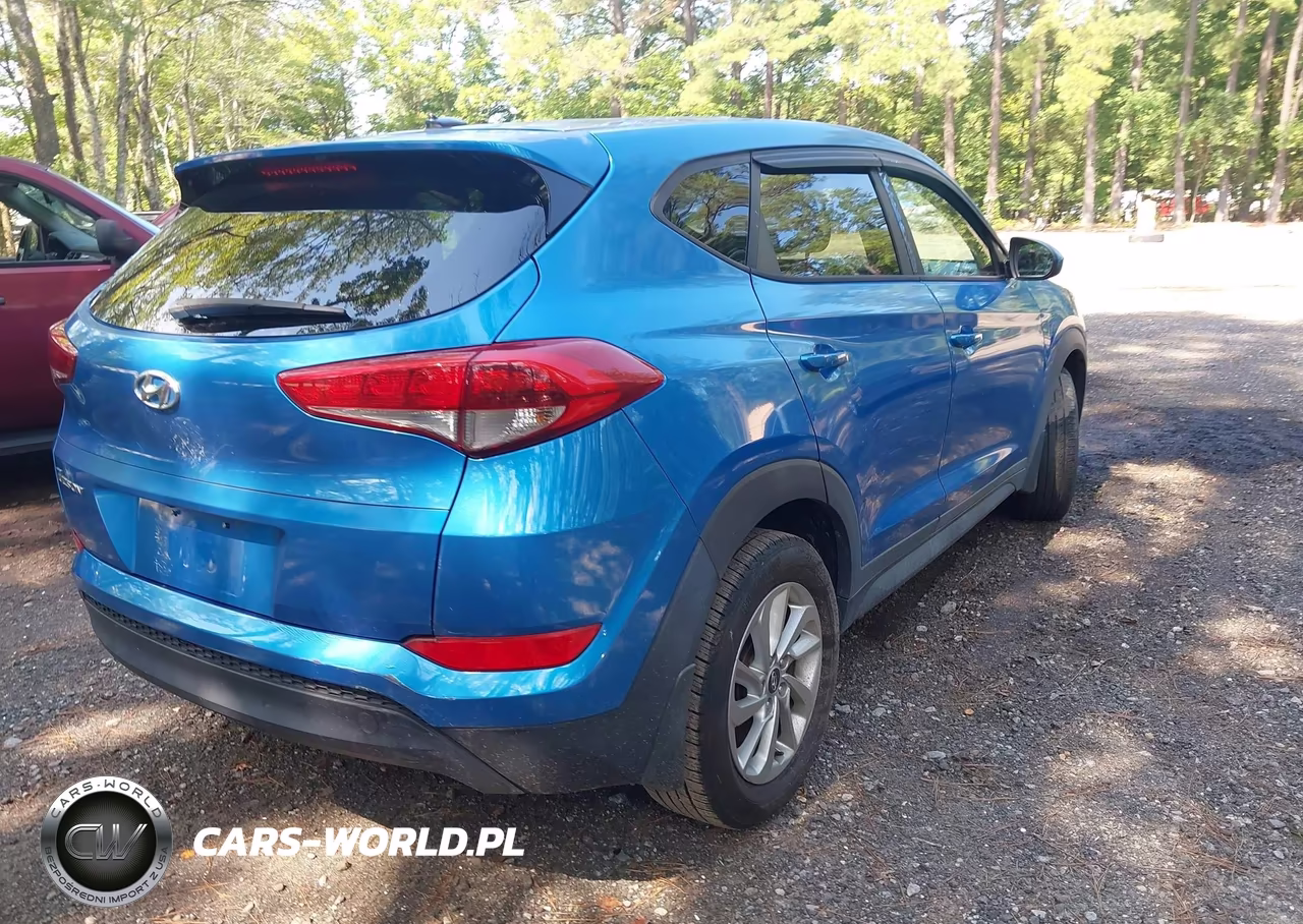2016 Hyundai Tucson Se VIN:KM8J23A47GU226407 - 4