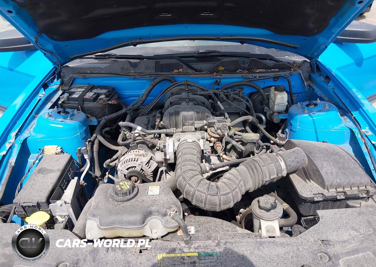 2010 Ford Mustang V6-V6 Premium VIN:1ZVBP8EN4A5167907 - 10