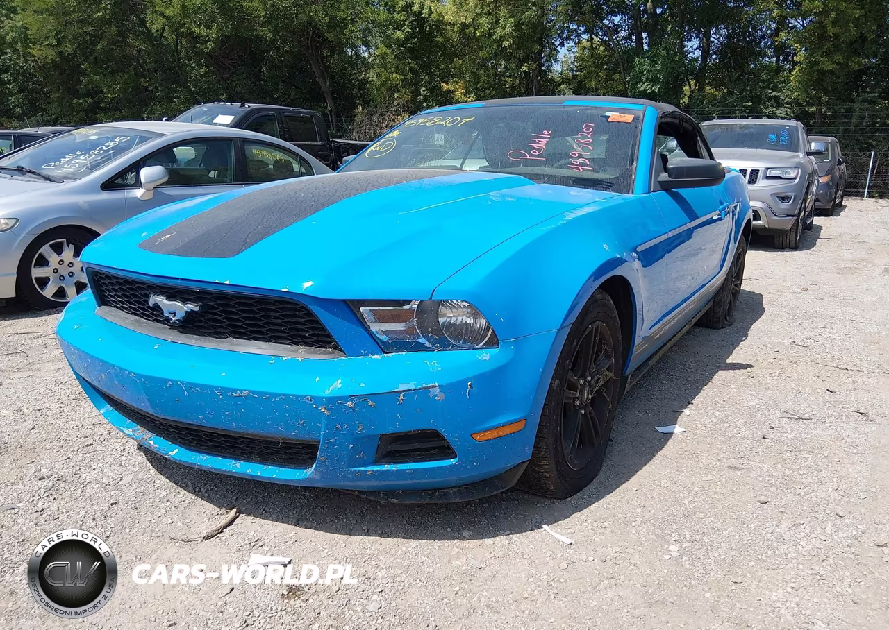 2010 Ford Mustang V6-V6 Premium VIN:1ZVBP8EN4A5167907 - 2