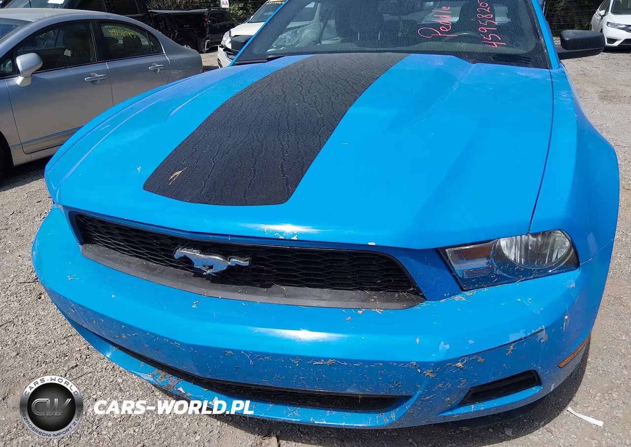 2010 Ford Mustang V6-V6 Premium VIN:1ZVBP8EN4A5167907 - 6