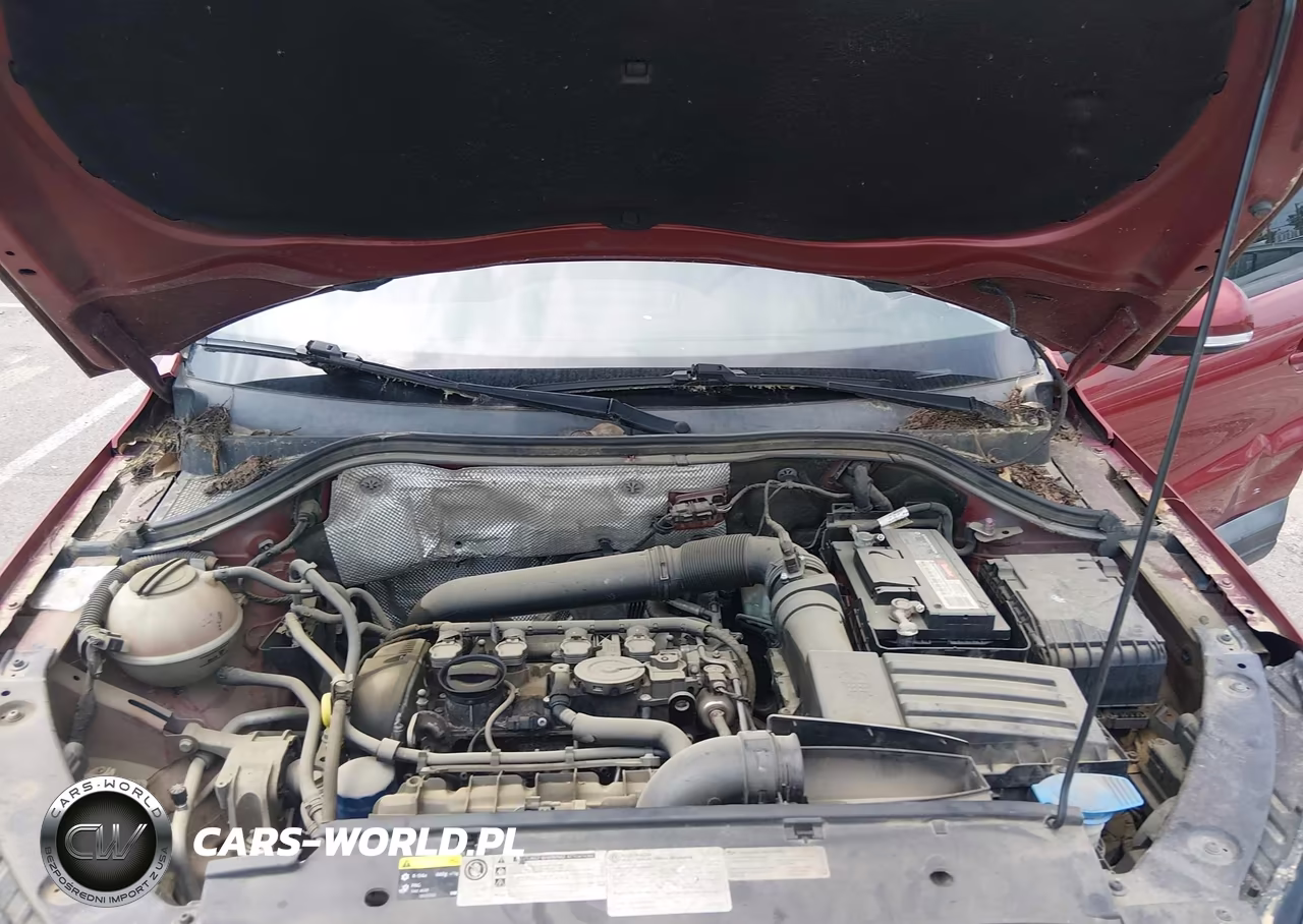 2015 Volkswagen Tiguan S VIN:WVGAV7AX5FW103457 - 10