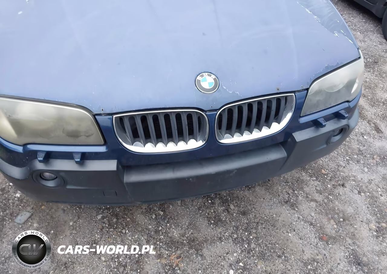 2004 BMW X3 3.0I VIN:WBXPA93474WC34370 - 6