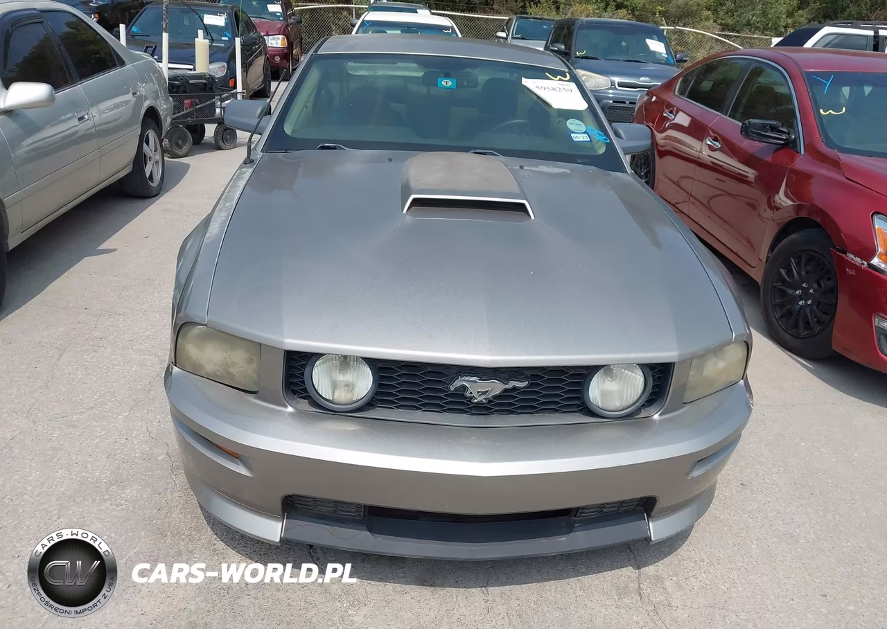 2009 Ford Mustang Gt-Gt Premium VIN:1ZVHT82H095102858 - 12