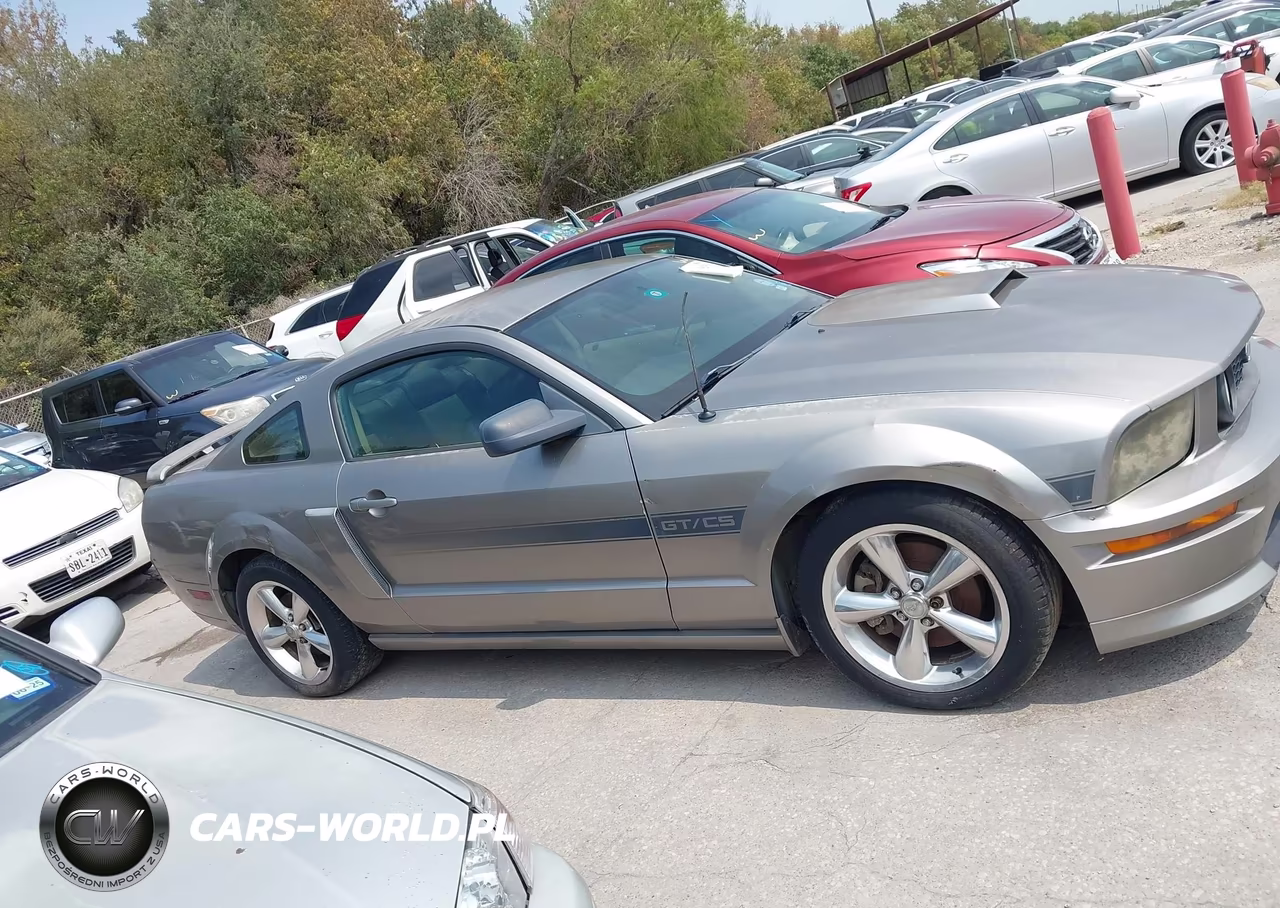 2009 Ford Mustang Gt-Gt Premium VIN:1ZVHT82H095102858 - 13