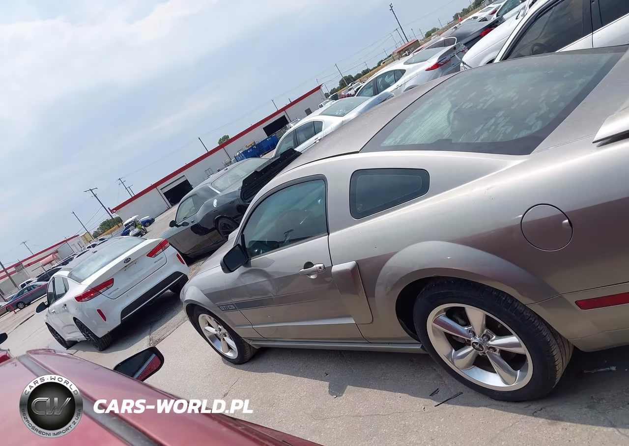 2009 Ford Mustang Gt-Gt Premium VIN:1ZVHT82H095102858 - 14