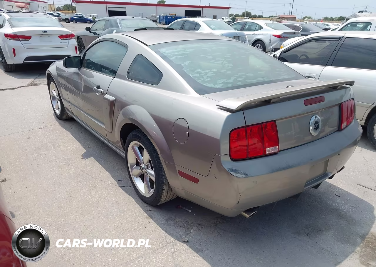 2009 Ford Mustang Gt-Gt Premium VIN:1ZVHT82H095102858 - 3