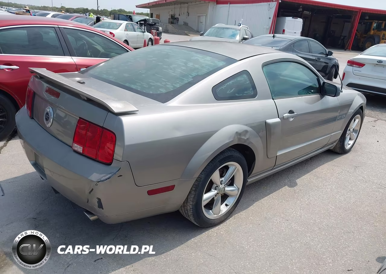 2009 Ford Mustang Gt-Gt Premium VIN:1ZVHT82H095102858 - 4