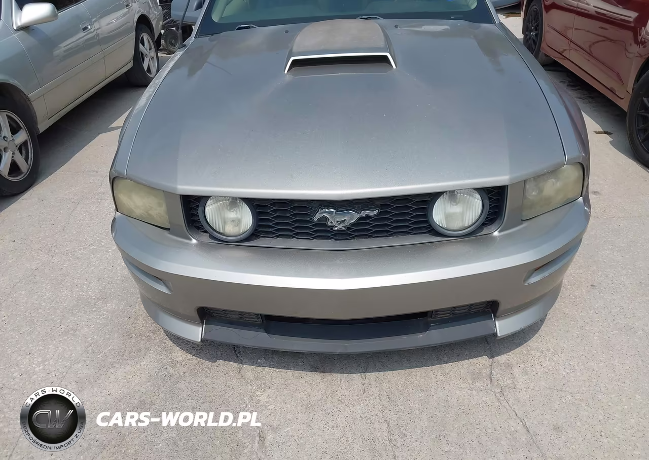 2009 Ford Mustang Gt-Gt Premium VIN:1ZVHT82H095102858 - 6