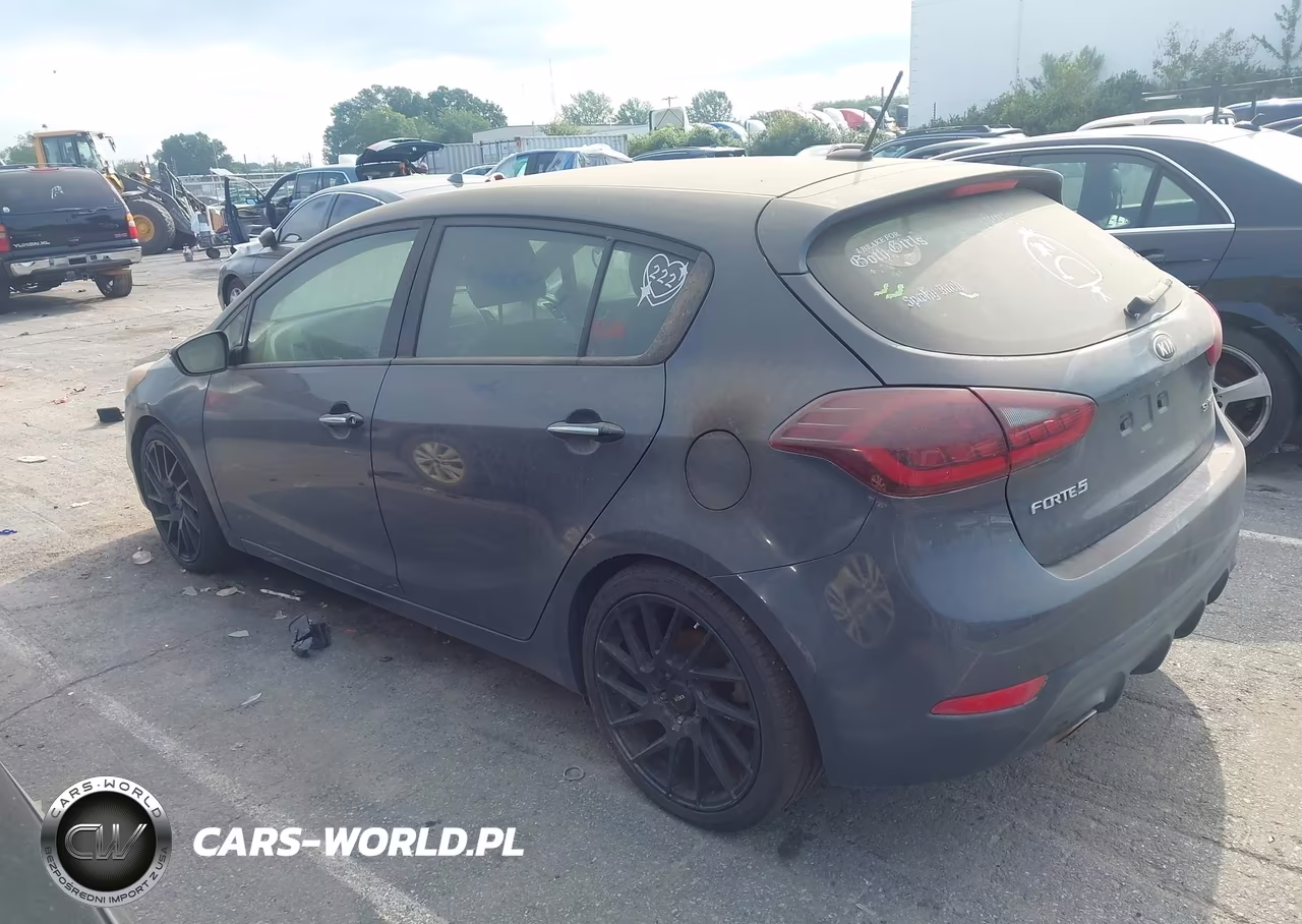 2016 Kia Forte Sx VIN:KNAFZ5A38G5631868 - 14