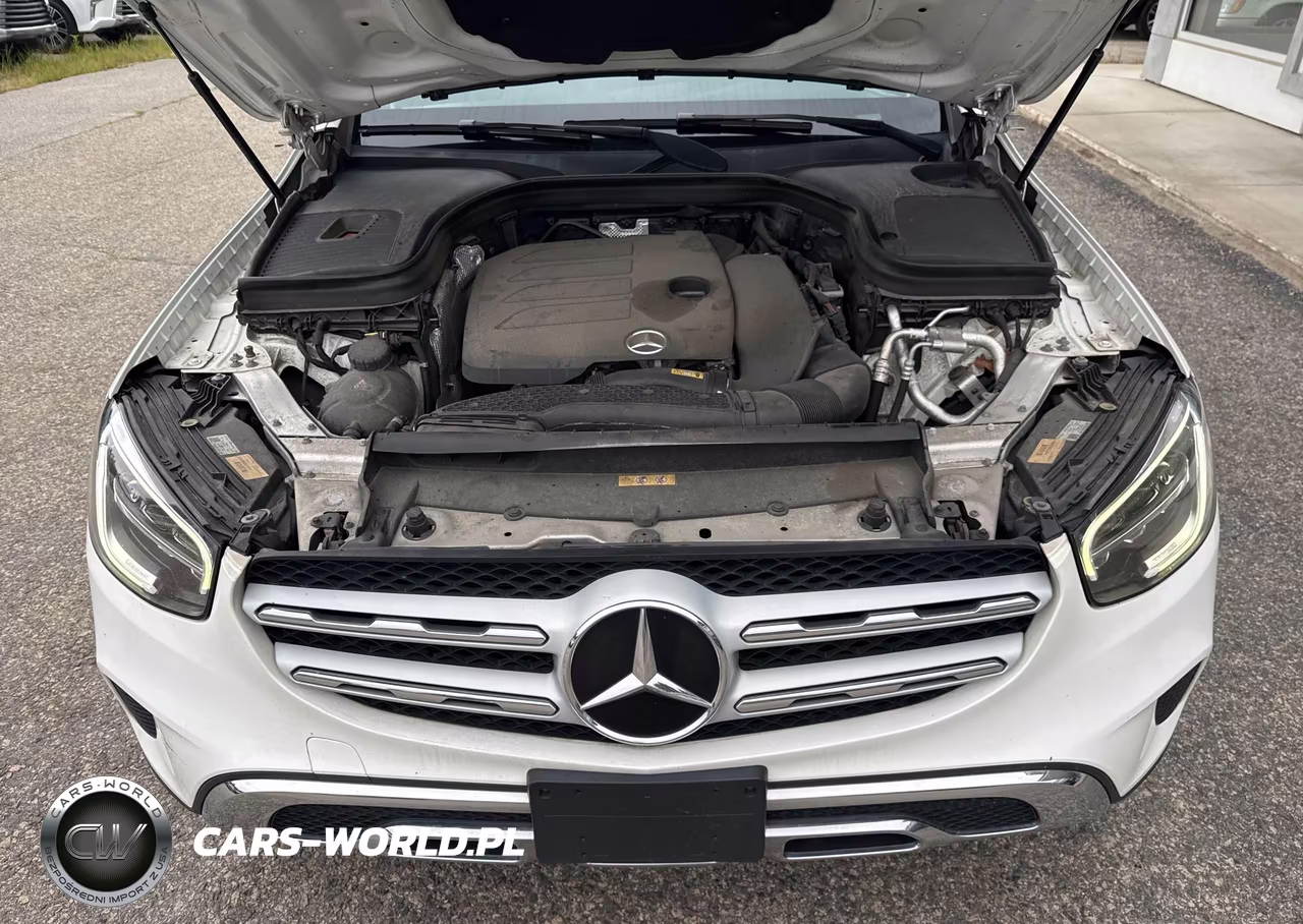 2020 Mercedes-Benz Glc 300 4Matic VIN:W1N0G8EB2LF780517 - 10