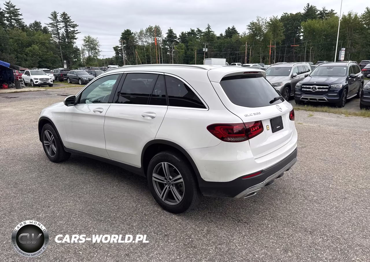 2020 Mercedes-Benz Glc 300 4Matic VIN:W1N0G8EB2LF780517 - 3