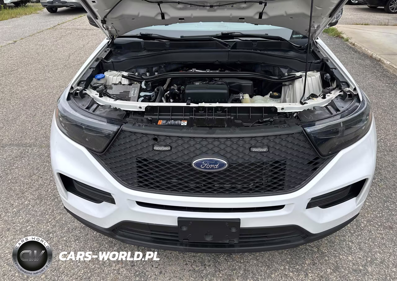 2020 Ford Police Interceptor Utility VIN:1FM5K8AB5LGC70198 - 10