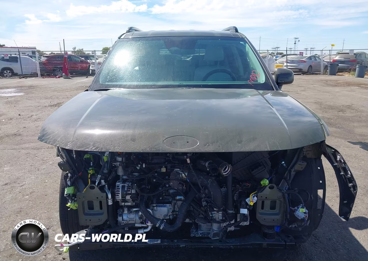 2025 Hyundai Santa Fe Sel VIN:5NMP24GL4SH079918 - 13