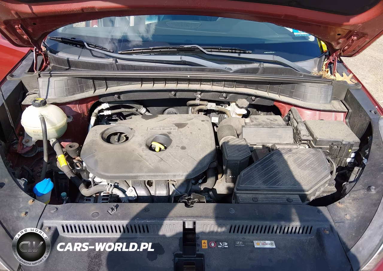 2018 Hyundai Tucson Sel Plus VIN:KM8J3CA42JU814204 - 10