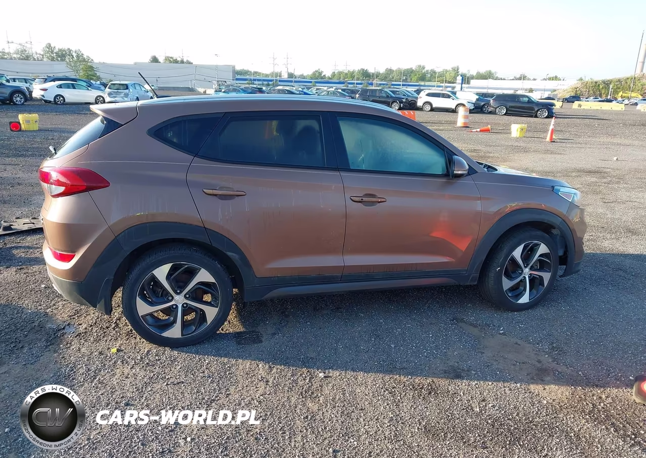 2016 Hyundai Tucson Sport VIN:KM8J3CA28GU095564 - 13