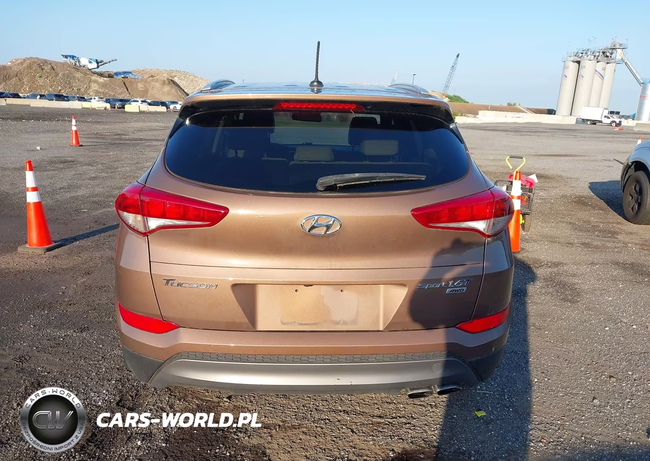 2016 Hyundai Tucson Sport VIN:KM8J3CA28GU095564 - 16