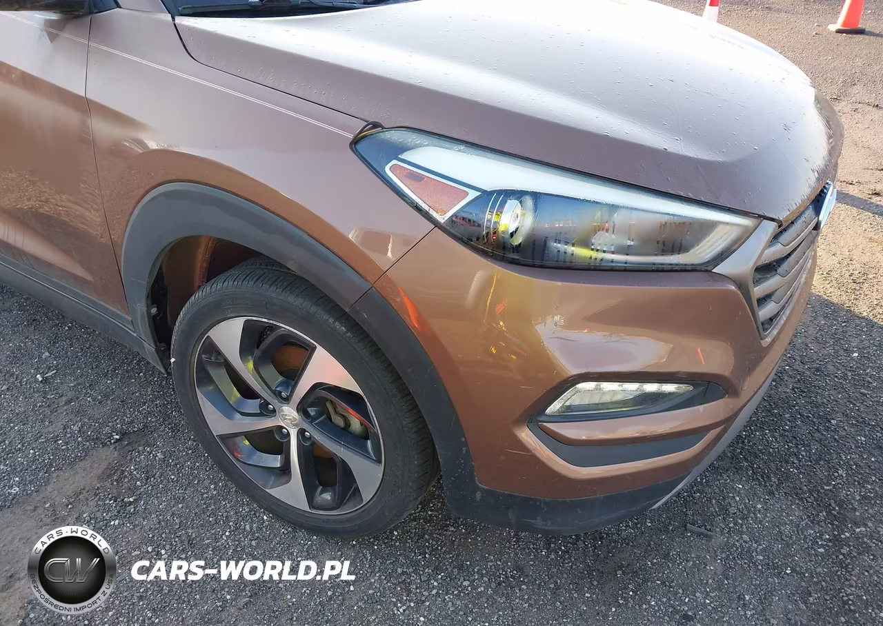 2016 Hyundai Tucson Sport VIN:KM8J3CA28GU095564 - 17