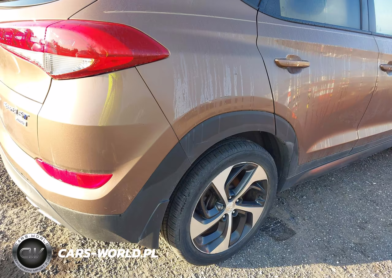 2016 Hyundai Tucson Sport VIN:KM8J3CA28GU095564 - 18