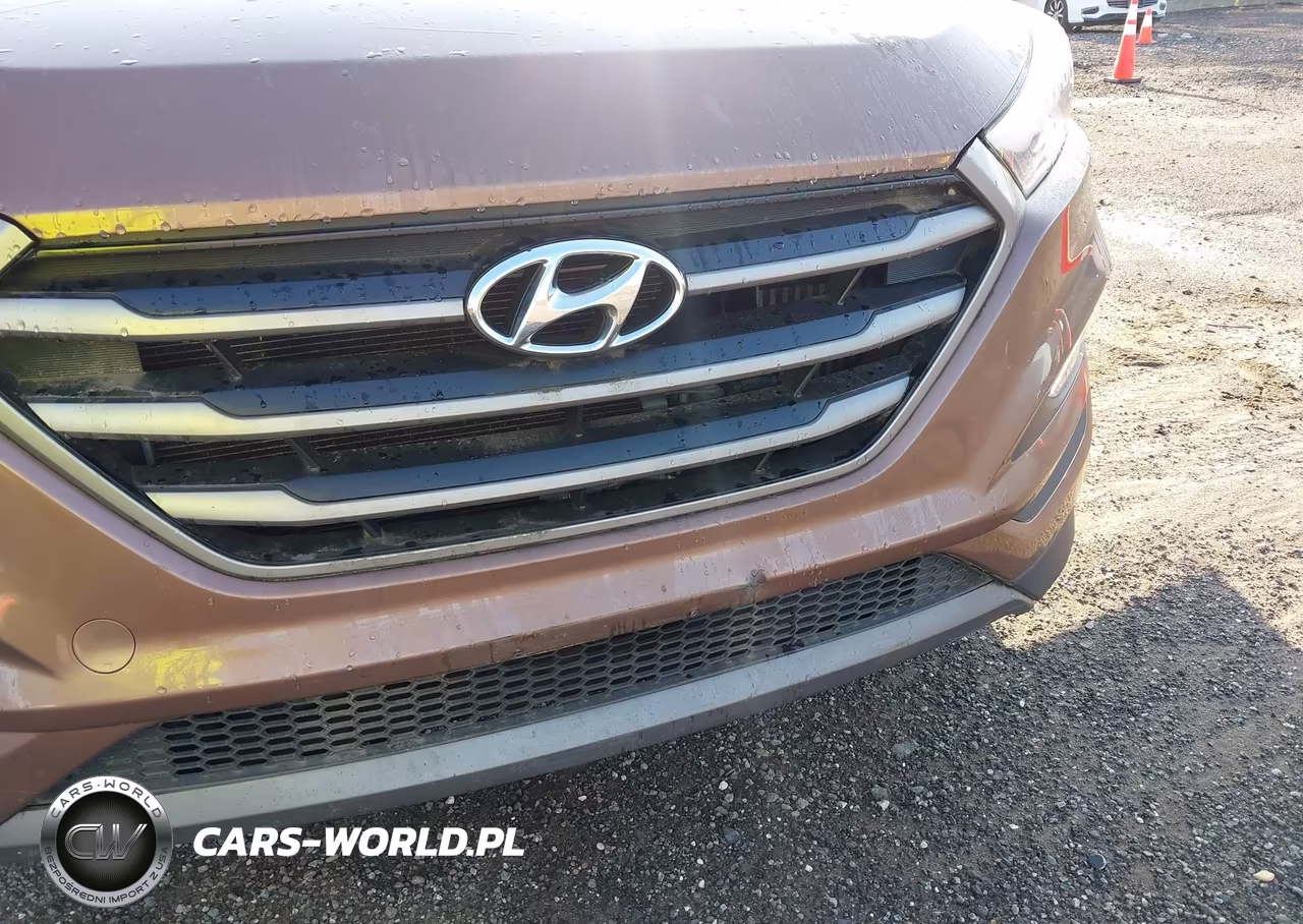 2016 Hyundai Tucson Sport VIN:KM8J3CA28GU095564 - 6