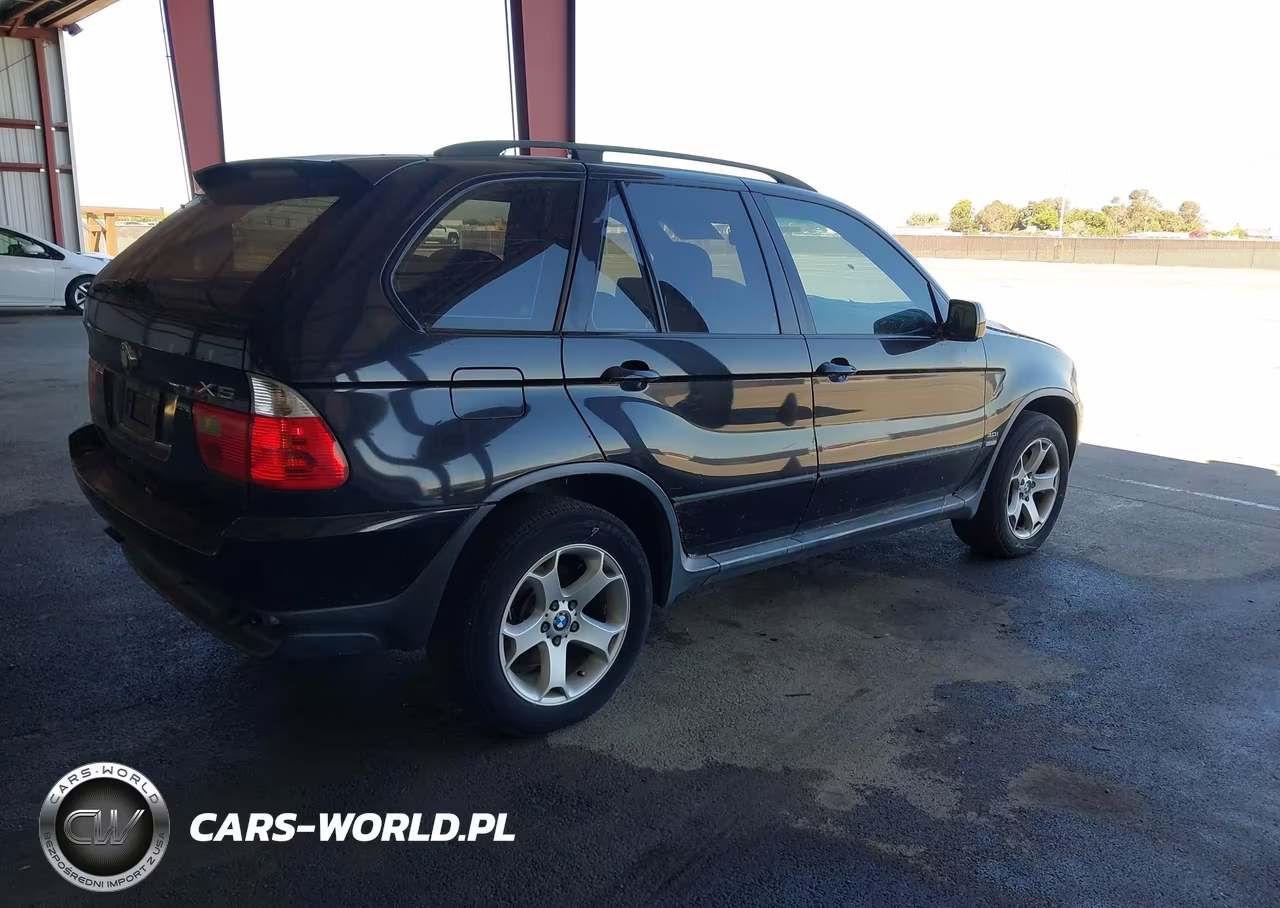 2005 BMW X5 3.0I VIN:5UXFA13535LY18718 - 4