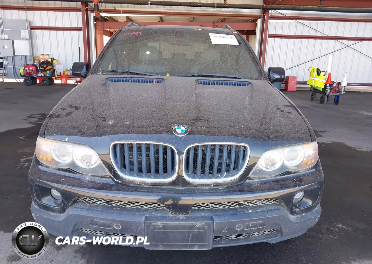 2005 BMW X5 3.0I VIN:5UXFA13535LY18718 - 6