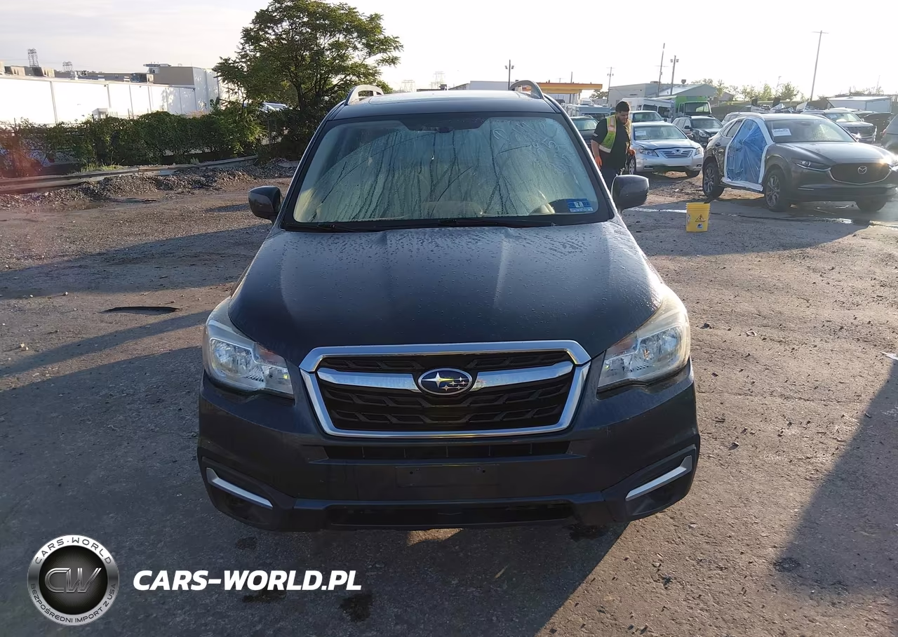 2017 Subaru Forester 2.5I Premium VIN:JF2SJAEC3HH409106 - 12