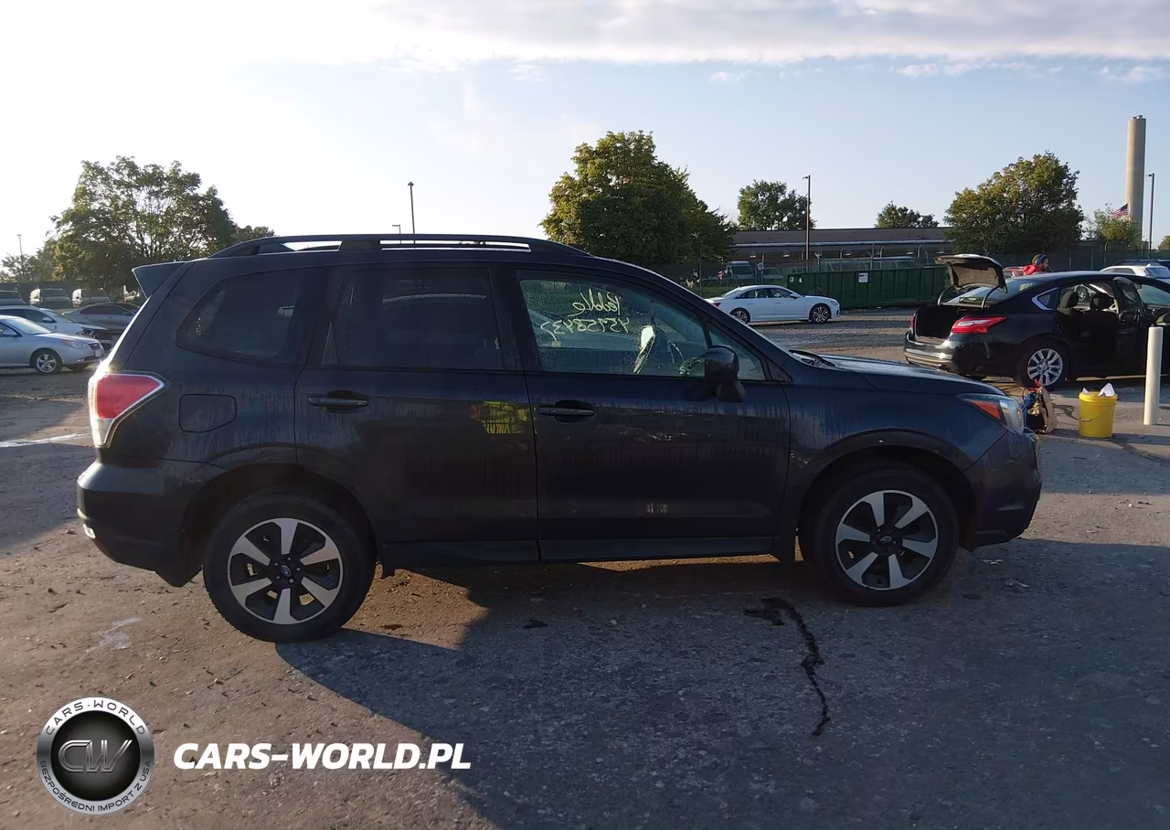 2017 Subaru Forester 2.5I Premium VIN:JF2SJAEC3HH409106 - 13