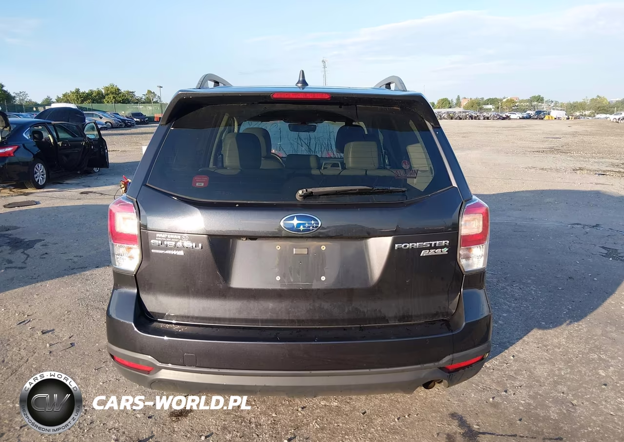 2017 Subaru Forester 2.5I Premium VIN:JF2SJAEC3HH409106 - 16