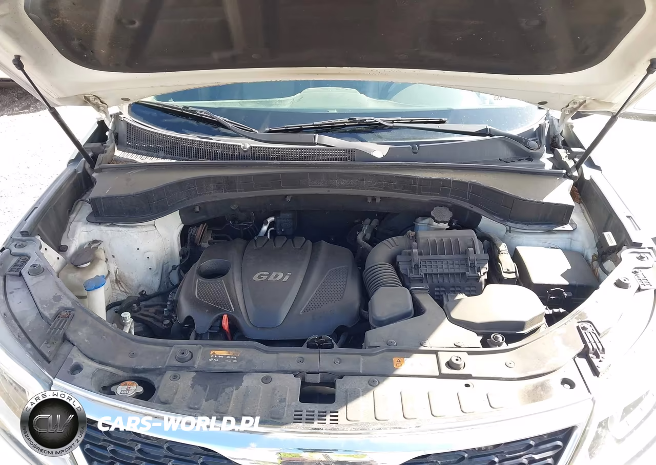 2014 Kia Sorento Lx VIN:5XYKTCA6XEG429636 - 10