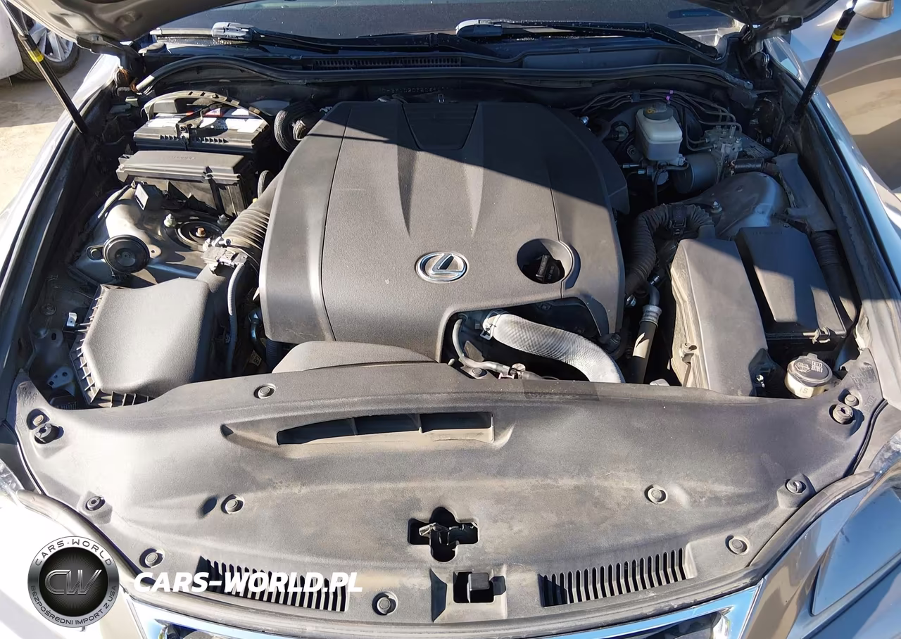 2015 Lexus Is 250 VIN:JTHBF1D20F5068401 - 10
